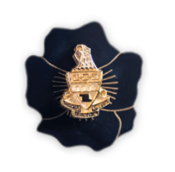Theta Alumnae Badge